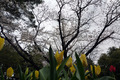 20130323_028
