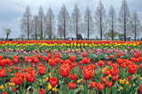 20100419_067