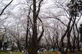 20130323_052
