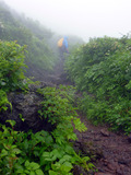 20130710_048