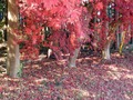 20131126_085