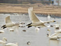 20140203_213