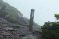 20130603_113