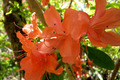20130428_027