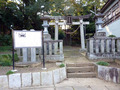 20131101_109
