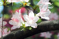 20130428_067