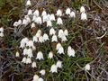 P7220474