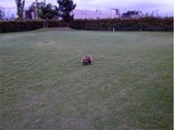 IMG_2308_page0001