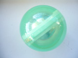P1070273