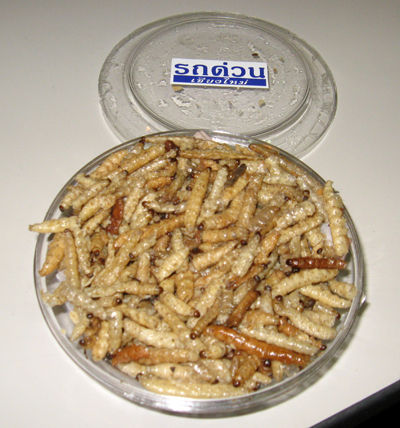 orenoyome5-11