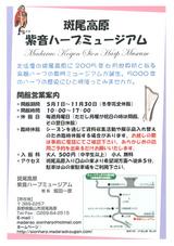 紫苑2