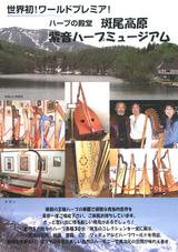 紫苑1