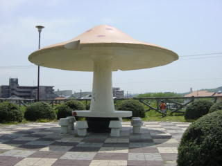 kami12