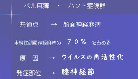 h2502iwagaya3