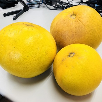 20180213晩白柚