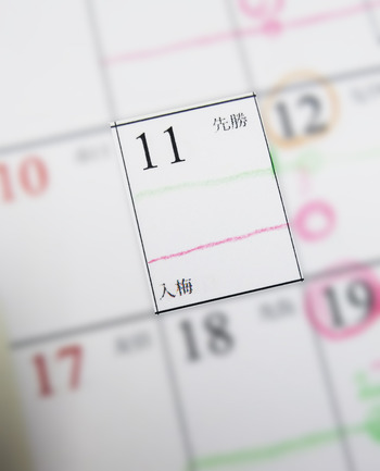 入梅の日