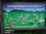 DSCF8503