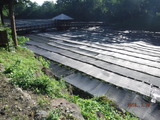 DSCF1361