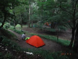 DSCF8498