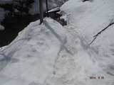 DSCF5516