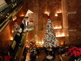 DSCF0220