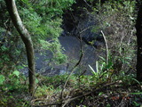 DSCF1316