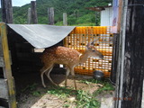 DSCF3208