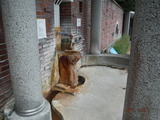 DSCF0889