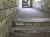 DSCF1081