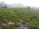 DSCF8506