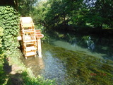 DSCF1359