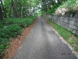 DSCF8394
