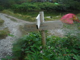 DSCF9044