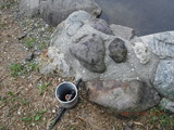 DSCF9119