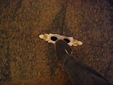 DSCF3084