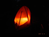 DSCF8495