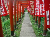 DSCF7556