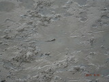 DSCF8856