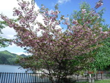 DSCF1054