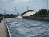 DSCF8848