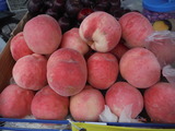 DSCF4573