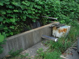 DSCF8376