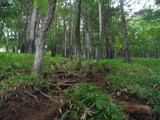 DSCF8391