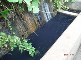 DSCF8375