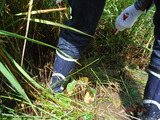 DSCF5367