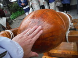 DSCF0737