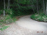 DSCF8393