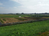 DSCF5354