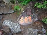 DSCF8404
