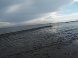 DSCF8855